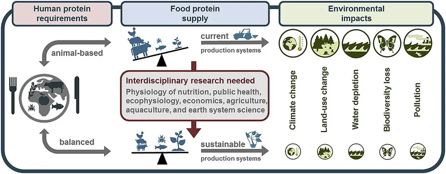 A plate of healthy foods rich in protein and calcium for growing