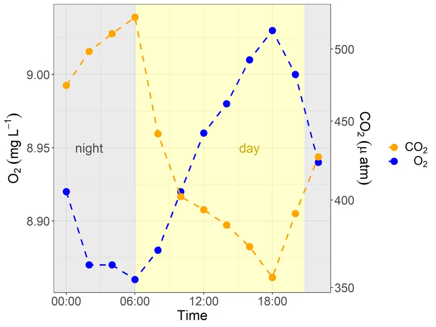 An illustration of oxygen and carbon dioxide swapping in the body