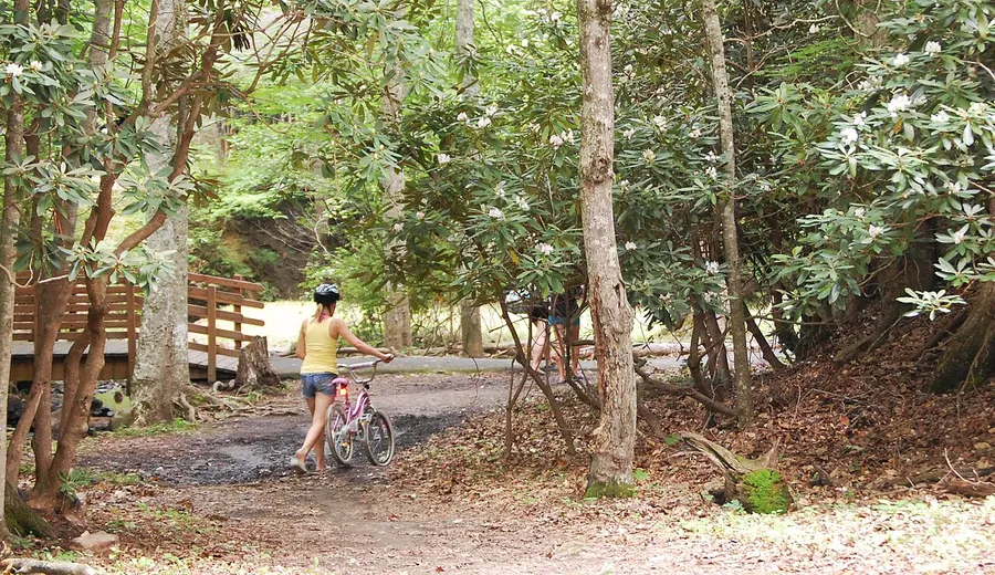 Children cycling outdoors to get their daily activity