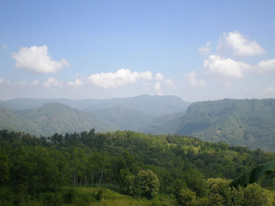 A hot, wet tropical rainforest near the equator