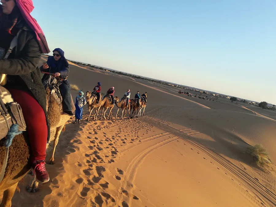 A camel walking across desert sand dunes