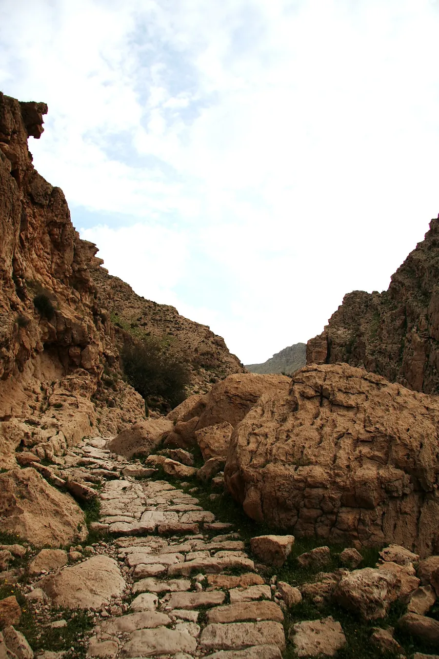 An ancient stone-paved Roman road stretching into the distance