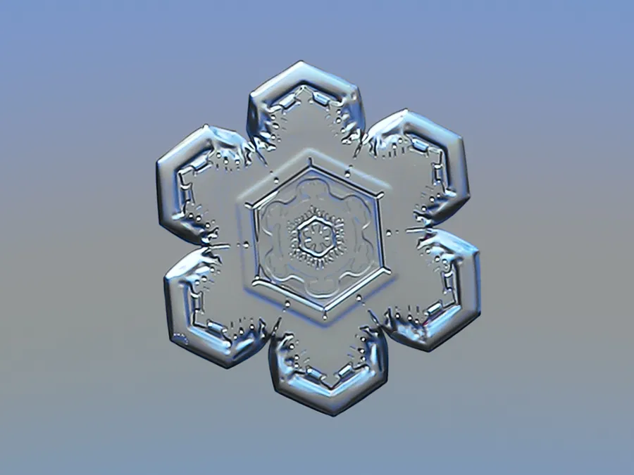 A six-sided snowflake showing symmetry found in nature