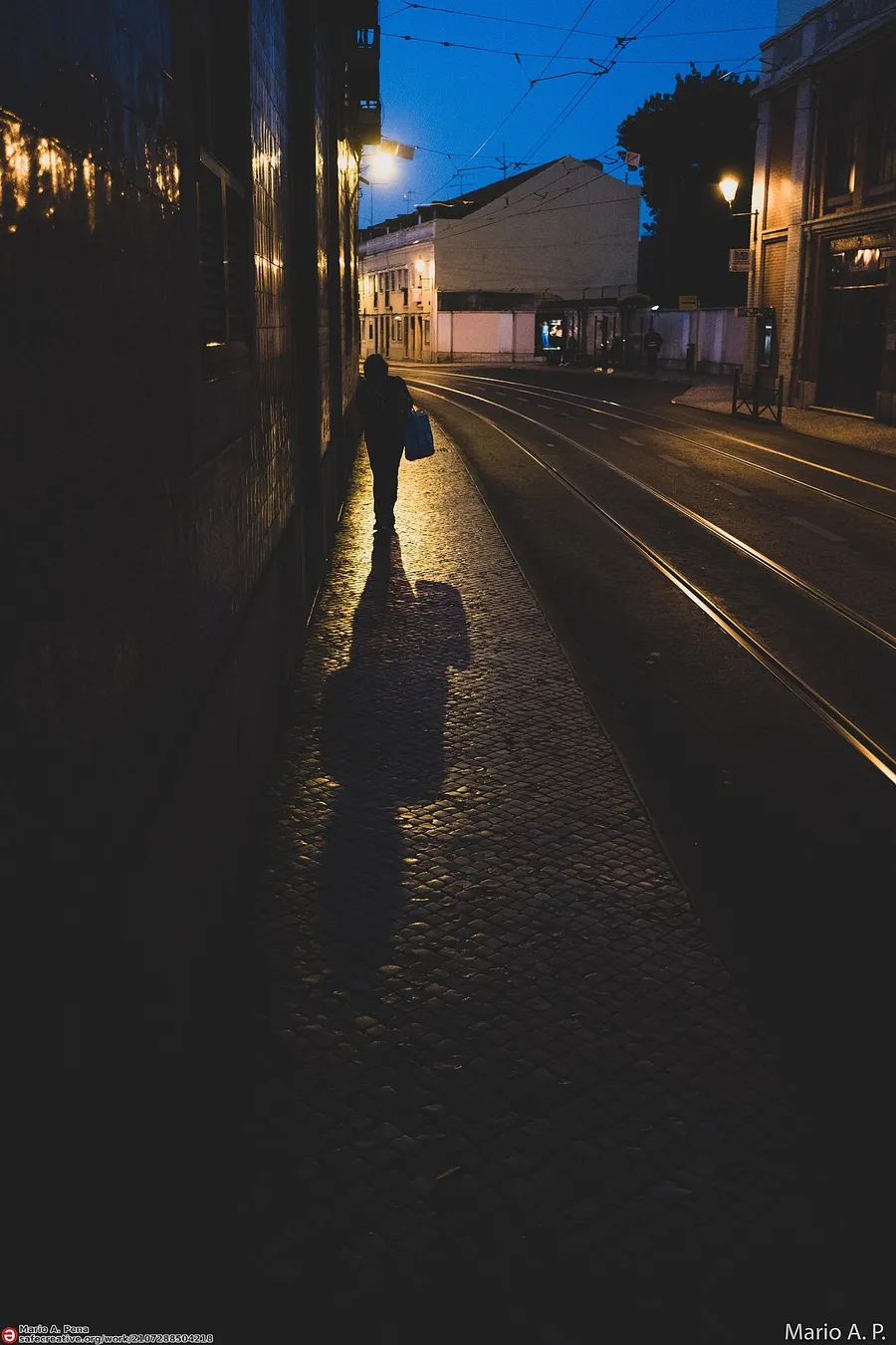 A person casting a long dark shadow on the ground in low sunlight