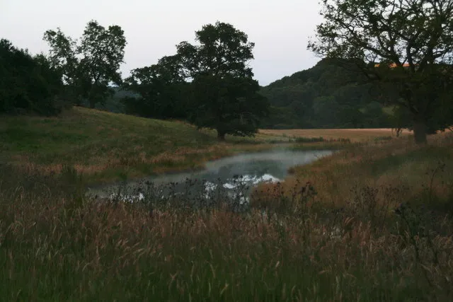 Misty water vapour rising from a sunlit lake as water evaporates
