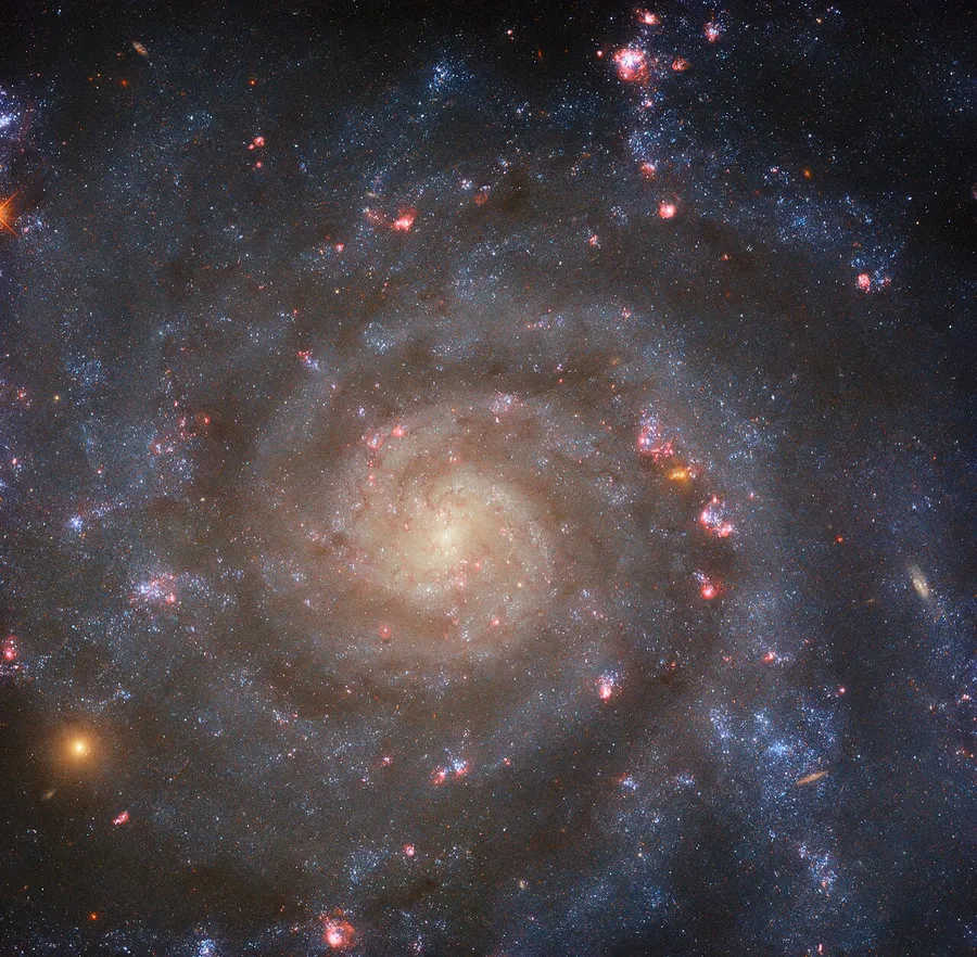 A spiral galaxy with curved arms sweeping out from a bright centre